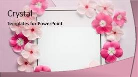  Presentation with vintage rose old paper - Amazing slide set having pink flower white note - vinca rosea petals on paper backdrop and a lemonade colored foreground