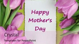  Presentation with purple green - Colorful slide deck enhanced with handsome happy smiling boy with the famous charco de san gines in lanzarote in the background backdrop and a ocean colored foreground