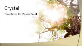  Presentation with drawing of pink lotus flower - PPT theme consisting of pink flower with sun ray background and a  colored foreground