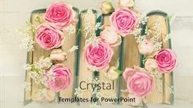  Presentation with books flowers - Slide deck having pink-flowers-and-the-old background and a soft green colored foreground