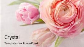  Presentation with flowers vase - PPT layouts with pink flowers in a vase background and a lemonade colored foreground