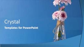  Presentation with pink colour - PPT layouts with pink-flowers-in-glass-vase background and a teal colored foreground