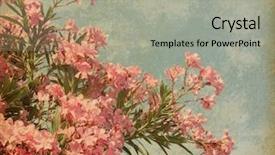  Presentation with flower vintage - PPT theme with pink flowers of oleander background and a light gray colored foreground