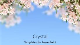  Presentation with pink sky - 