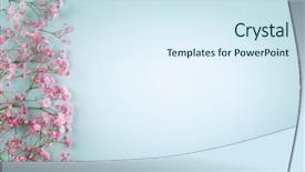  Presentation with flower wedding - PPT theme having pink flowers on light pastel background and a sky blue colored foreground