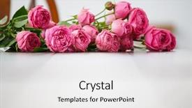  Presentation with pink simple - PPT theme having pink flowers on white background and a white colored foreground