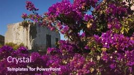  Presentation with latina - 