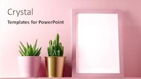  Presentation with frame pink - Colorful slide deck enhanced with pink-frame-with-succulent-plants backdrop and a lemonade colored foreground