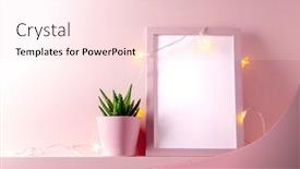  Presentation with frame pink - Audience pleasing PPT layouts consisting of pink-frame-with-succulent-plants backdrop and a lemonade colored foreground
