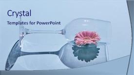  Presentation with pink blue - Amazing theme having pink gerbera in a glass backdrop and a light blue colored foreground