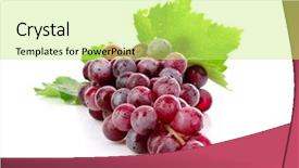  Presentation with pink white - Amazing slides having pink grape cluster isolated backdrop and a yellow colored foreground
