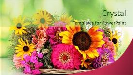  Presentation with pink green - Slide deck with pink green - beautiful bouquet of bright flowers background and a mint green colored foreground