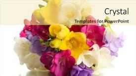  Presentation with beautiful green - Audience pleasing presentation design consisting of pink green - beautiful bouquet of freesias isolated backdrop and a blonde colored foreground