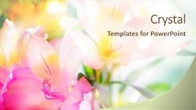  Presentation with pink flowers - Amazing slides having sea wave rolls on beach on a summer day backdrop and a light gray colored foreground