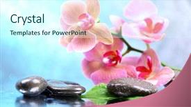  Presentation with water color - Colorful presentation design enhanced with pink green - composition with beautiful blooming orchid backdrop and a cool aqua colored foreground