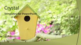  Presentation with green tree - Cool new slides with pink green - little birdhouse in a tree backdrop and a yellow colored foreground