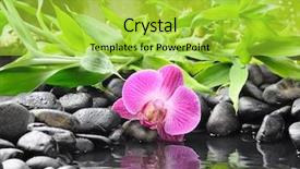  Presentation with spa concept - Slide deck consisting of pink green - spa concept with zen stones background and a yellow colored foreground