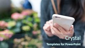  Presentation with hydrangea - Presentation enhanced with pink hydrangea bush - woman use of cellphone background and a ocean colored foreground