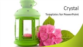  Presentation with white hydrangea - Slides having pink hydrangea with green lantern background and a white colored foreground