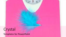  Presentation with pastel feather ink - Beautiful theme featuring pink law - feather on scales isolated backdrop and a coral colored foreground