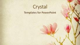  Presentation with pink flowers - Beautiful presentation design featuring pink magnolia flowers on old backdrop and a cream colored foreground