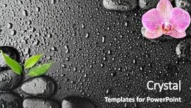  Presentation with pink-black - Amazing presentation having pink orchid and basalt stones backdrop and a dark gray colored foreground