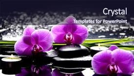  Presentation with spa - Beautiful PPT layouts featuring pink orchid and stones backdrop and a wine colored foreground