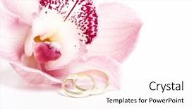  Presentation with wedding ring - Audience pleasing presentation design consisting of pink orchid and wedding ring backdrop and a sky blue colored foreground