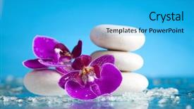  Presentation with zen stone - PPT theme with pink orchid and white zen background and a cyan colored foreground