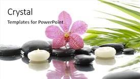  Presentation with pink black - PPT theme having pink orchid candle bamboo leaf background and a white colored foreground