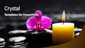  Presentation with orchid - Colorful PPT layouts enhanced with pink-orchid-candle-with-therapy backdrop and a black colored foreground