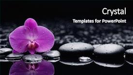  Presentation with pink black - Beautiful PPT layouts featuring pink orchid on black stones backdrop and a black colored foreground