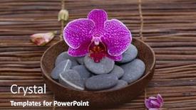  Presentation with bud - Amazing PPT theme having pink orchid with gray stones in bowl with bud on mat texture backdrop and a tawny brown colored foreground