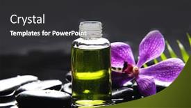  Presentation with fern - Amazing PPT theme having pink orchid with pebbles and massage oil fern on wet background backdrop and a dark gray colored foreground