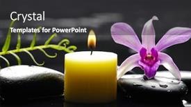  Presentation with fern - Presentation theme featuring pink orchid with pebbles and massage oil fern on wet background background and a dark gray colored foreground