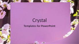  Presentation with purple orchids pink flowers orchid - Audience pleasing PPT layouts consisting of pink paper blank between flowering backdrop and a lemonade colored foreground