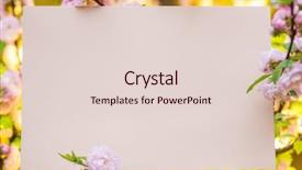  Presentation with frame pink - Presentation enhanced with pink paper blank between flowering background and a lemonade colored foreground