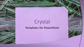  Presentation with frame pink - Audience pleasing presentation design consisting of pink-paper-blank backdrop and a light blue colored foreground