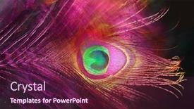  Presentation with peacock feather - Theme enhanced with pink-peacock-feather-carnival-decoration background and a tawny brown colored foreground