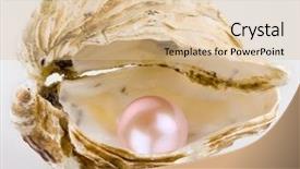  Presentation with pink pearl - Colorful PPT layouts enhanced with pink pearl is backdrop and a lemonade colored foreground