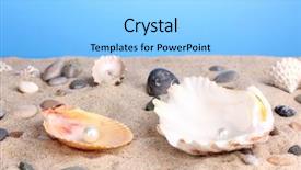  Presentation with pink pearl - Colorful PPT theme enhanced with pink pearls - sea shells with pearl backdrop and a light blue colored foreground