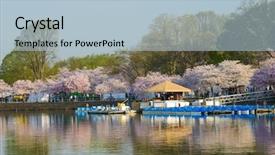  Presentation with united states unity - Presentation design with pink pedals - cherry blossom festival in tidal background and a light blue colored foreground
