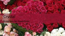  Presentation with pink roses - Beautiful presentation design featuring pink pedals - red roses in the shape backdrop and a crimson colored foreground