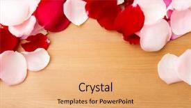  Presentation with pink rose - PPT theme enhanced with pink pedals - rose petal with wooden background background and a coral colored foreground