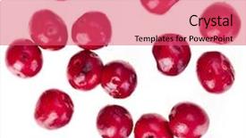  Presentation with pink and white balloons - Audience pleasing PPT theme consisting of pink peppercorn close up isolated on white background backdrop and a coral colored foreground