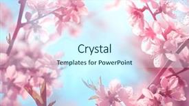  Presentation with pink blue - Slide set consisting of pink plum flowers against blue background and a cool aqua colored foreground