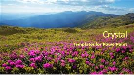  Presentation with purple orchids pink flowers orchid - Slide deck consisting of pink rhododendron flowers covered mountains background and a tawny brown colored foreground