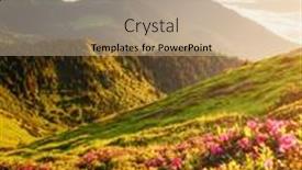  Presentation with pink flowers - Presentation theme featuring pink-rhododendron-flowers background and a lemonade colored foreground