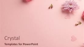  Presentation with romance pink - Slide set with pink-rose-and-chrysanthemum-flowerheads background and a lemonade colored foreground