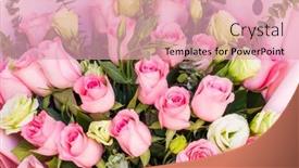  Presentation with pink rose - Theme consisting of pink-rose-background-natural-texture background and a lemonade colored foreground